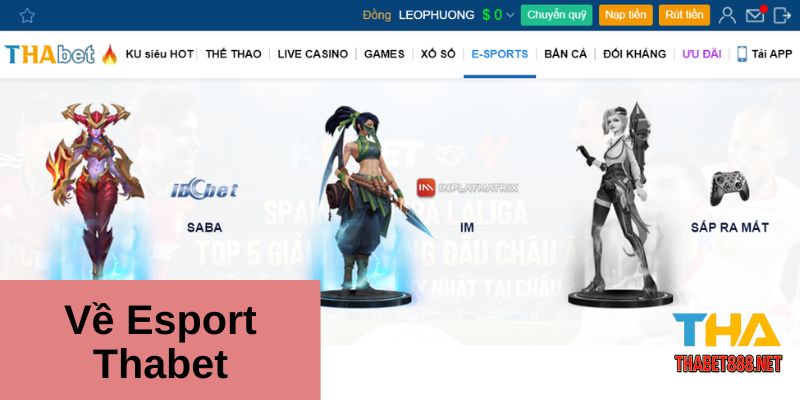 Bí kíp chinh phục Esport Thabet: Nâng tầm trải nghiệm cá cược của bạn 1 Esport Thabet
