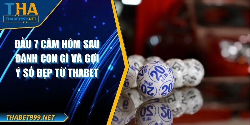 Đầu 7 Câm Hôm Sau Đánh Con Gì Và Gợi Ý Số Đẹp Từ THABET