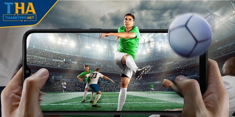 Hướng dẫn xem bóng đá khi hiểu về các giải đấu