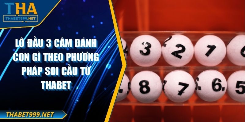 Lô Đầu 3 Câm Đánh Con Gì Theo Phương Pháp Soi Cầu Từ THABET