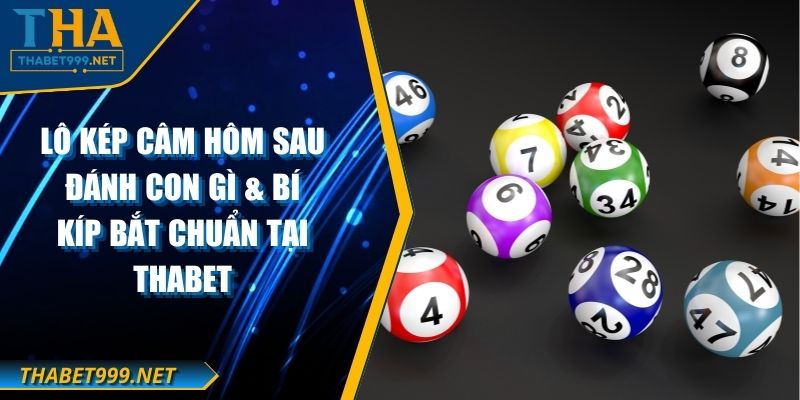Lô Kép Câm Hôm Sau Đánh Con Gì & Bí Kíp Bắt Chuẩn Tại THABET