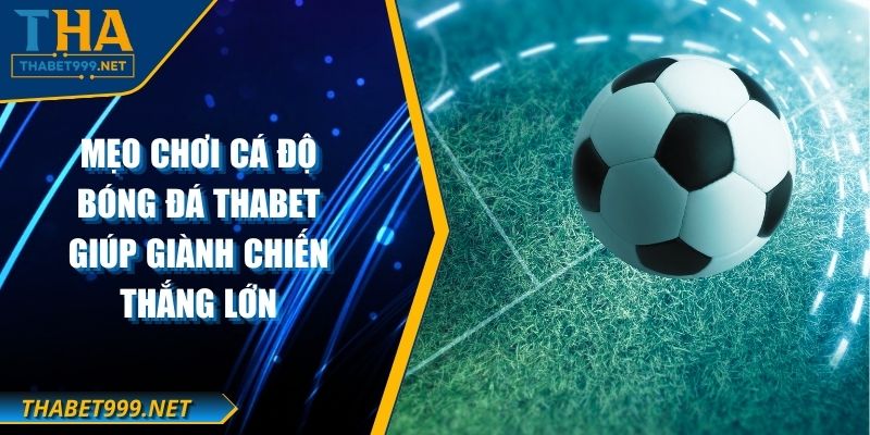 Mẹo Chơi Cá Độ Bóng Đá THABET Giúp Giành Chiến Thắng Lớn