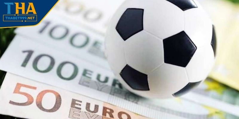 Vì sao nên tìm hiểu kỹ về mẹo chơi cá độ bóng đá?